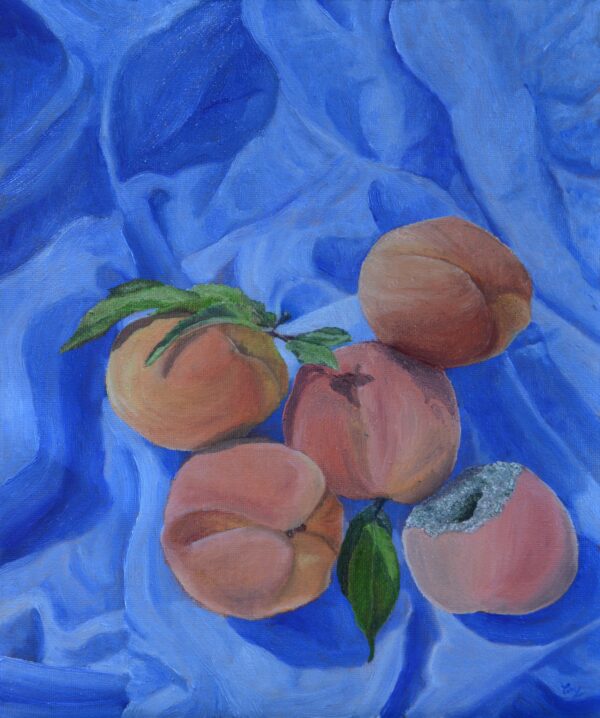 Remember the Peaches | 2026